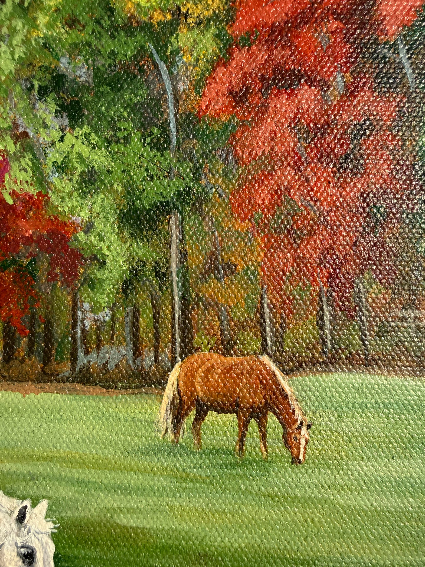 Horses of the Heart