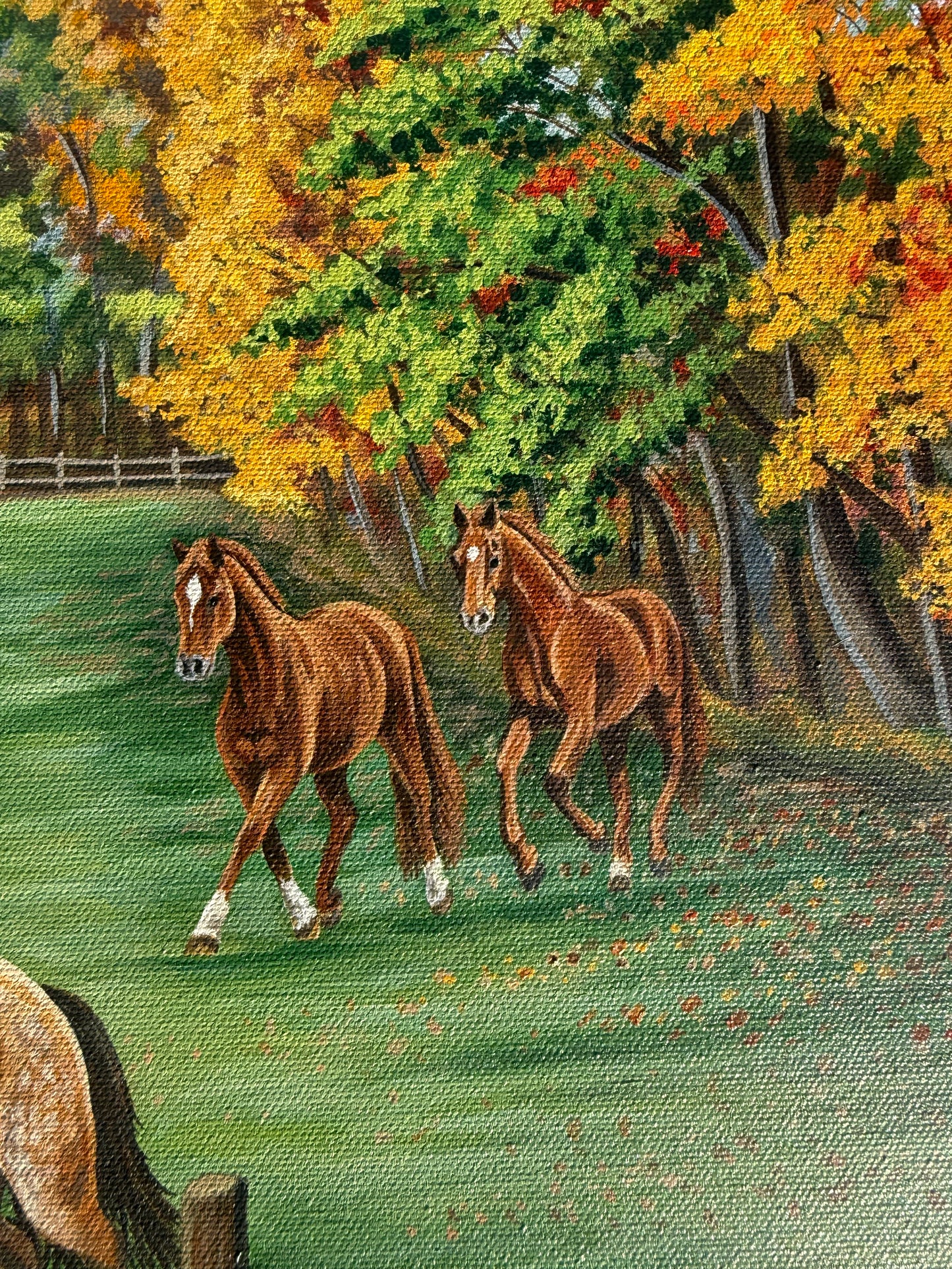 Horses of the Heart